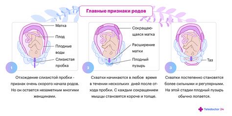 Предвестники родов: как понять что начались схватки